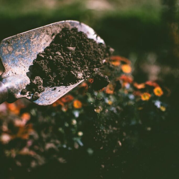 person-digging-on-soil-using-garden-shovel